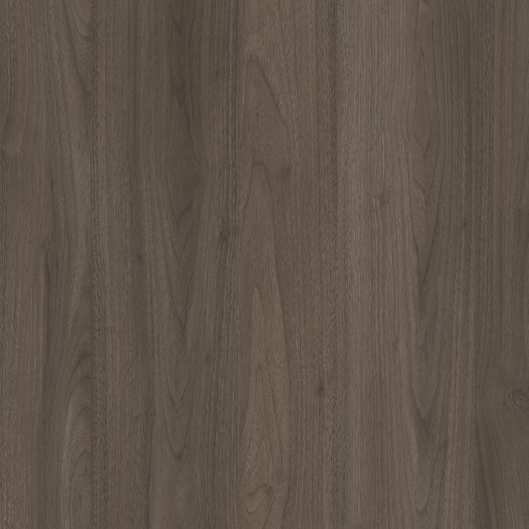calm-walnut-brown
