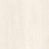 moscow_ash_V